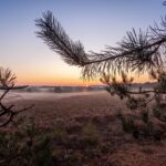 Wandelen in Nationaal Park Dwingelderveld unieke routes