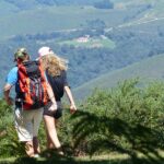 De beste thermoshirt opties voor wandelaars