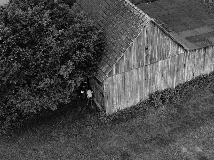 Ontdek de Dansende Bomen in ’t Speulder- en Sprielderbos
