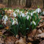 Boswandeling voor beginners: zo bouw je het rustig op