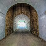 Zo maak je van een boswandeling een mini-avontuur