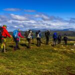 Wandelen in het bos met een kinderwagen: waar kan dat?