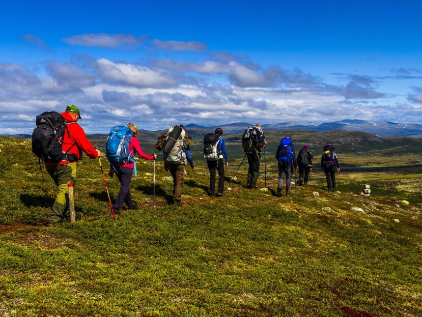 De mooiste boswandelingen met heide en zandverstuivingen